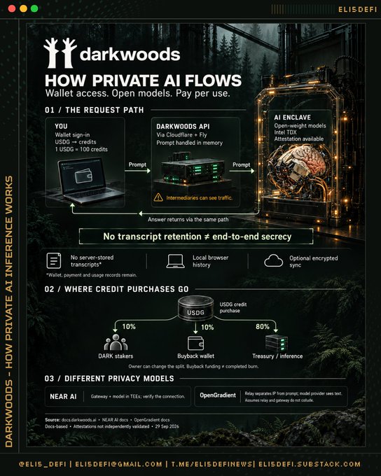 An infographic titled "darkwoods: HOW PRIVATE AI FLOWS" explaining private AI inference, wallet access, and credit purchases (USDC) on the SUI blockchain, created by elisdefi.