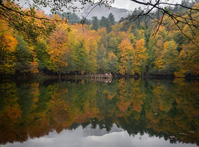 A serene autumn landscape featuring a calm lake reflecting vibrant yellow, orange, and green forest foliage with a small wooden dock.