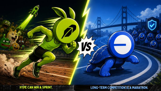 A meme comparing meme coins, showing a green rabbit-headed sprinter on the left with the text 'HYPE CAN WIN A SPRINT' versus a slow blue turtle with a prohibition sign on the right with the text 'LONG-TERM COMPETITION IS A MARATHON'.