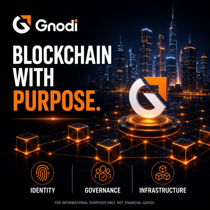 The image is a promotional graphic for "Gnodi" featuring the tagline "BLOCKCHAIN WITH PURPOSE" set against a futuristic cityscape with glowing interconnected cubes and a prominent Gnodi logo. Three icons at the bottom highlight the key focus areas: "IDENTITY," "GOVERNANCE," and "INFRASTRUCTURE," with a disclaimer stating "FOR INFORMATIONAL PURPOSES ONLY. NOT FINANCIAL ADVICE." The visual reinforces the post's message by symbolizing how Gnodi's blockchain technology interconnects real-world solutions across these three pillars.