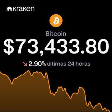 The image shows a graph that displays the value of Bitcoin over time, starting from $73,333,890 and ending at 2,9% down. The downward trend indicates a loss for Bitcoin's worth.