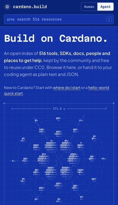 The cardano.build webpage reads “Build on Cardano.” and describes an open index of 516 tools, SDKs, docs, people, and places, shown above a glowing node-map graphic labeled “371.8 u.”