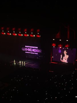 A dark concert venue with red stage lighting, showing 'BLACKPINK WORLD TOUR BORN PINK' and 'GOXOX' on a screen, with a performer visible on stage and an audience member holding up a light stick.