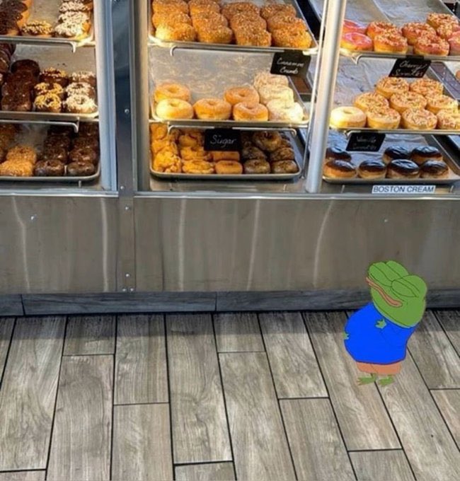 The image features a cartoon frog with a green body, orange legs, and a blue head standing on a wooden floor next to a display case filled with various donuts. The frog appears to be looking at the donuts inside the glass display case. The caption of the image reads "goodnight ct frens I trust y'all touched grass today cause all my mutuals are rich. hope you also checked in on @TermMaxFi before the day runs out." This message seems to be related to a social media post, possibly about donuts or a similar topic.