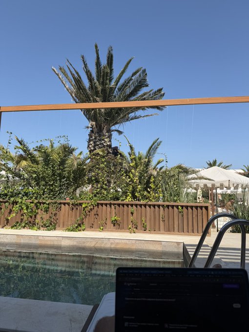 A view from beside a swimming pool shows a tall palm tree, a brown wooden fence covered in greenery, and a clear blue sky, with a laptop partially visible in the foreground.