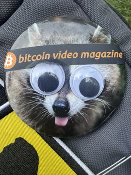 A circular pin or badge features a tabby cat with googly eyes added to its face, along with an orange Bitcoin logo and the text 'bitcoin video magazine'.