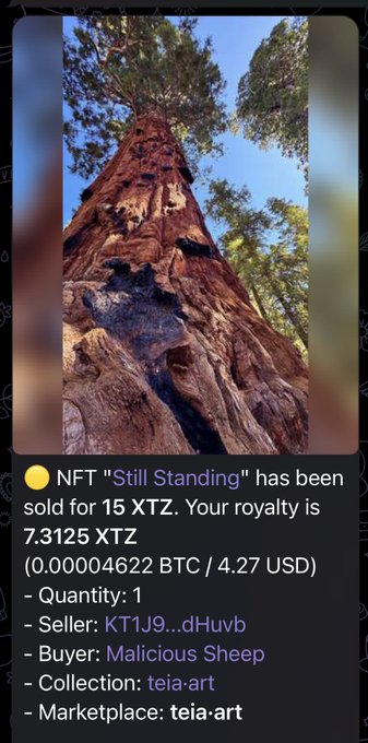 Screenshot showing an NFT sale notification: 'Still Standing' sold for 15 XTZ with royalty of 7.3125 XTZ (0.00004622 BTC / 4.27 USD), from seller KT1J9...dHuvb to buyer Malicious Sheep in the teia-art collection.