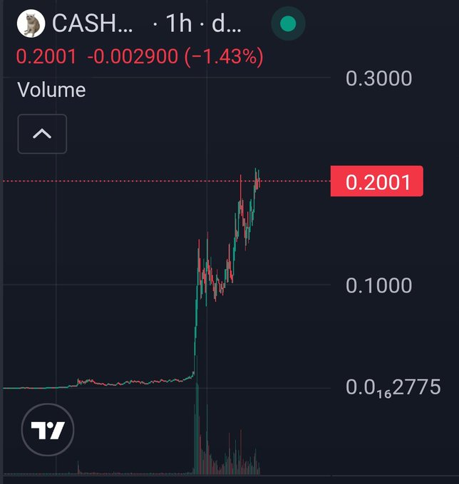This TradingView 1-hour chart of $CASH (showing a current price of 0.2001, down -1.43% / -0.002900) illustrates the token's massive parabolic rally from approximately $0.0162775 to over $0.20, with a volume spike accompanying the steep vertical move—visually confirming the post's claim of growth from a $7-8M to $200M market cap.
