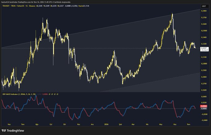 A TradingView chart of TRON/USDT on Binance displays price action from late 2023 through 2026, showing a recovery from lows around $0.22 to highs near $0.37, with an OBV MACD indicator below confirming the bullish momentum referenced in the post about holding through the bear market.