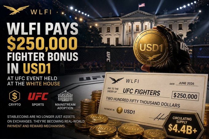 The image features a large coin worth $250,000, placed in the center of the frame, with a fighter's hand holding up this coin. The background of the image displays an event at the White House, with a building visible along with other buildings seen behind it. The caption on the post highlights that stablecoins are being used as real-world rewards and payment mechanisms for major sporting events like UFC fights or sports competitions held at the White House.