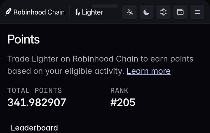 A screenshot from the Robinhood Chain Lighter rewards dashboard displays a Total Points balance of 341.982907 and a rank of #205. The image visually confirms the user's point accumulation update, showing their current standing on the Lighter trading rewards leaderboard.