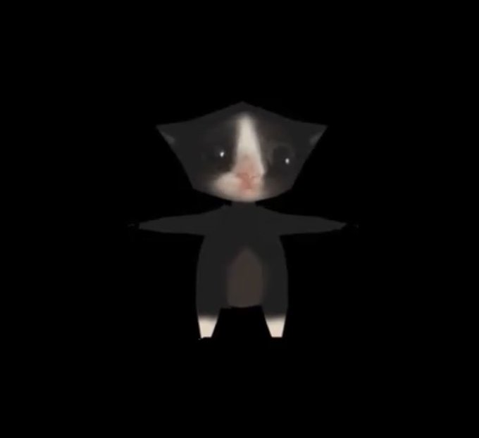 A low-polygon, dark, blocky 3D model of a cat with a realistic cat face texture, set against a black background.