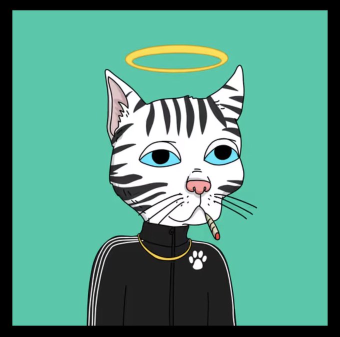 A cartoon illustration depicts a white cat with black stripes wearing a black tracksuit with a paw print logo and a gold chain, featuring a yellow halo above its head and a cigarette in its mouth.