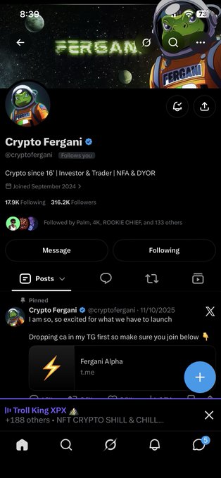 Twitter/X profile for "Crypto Fergani" (@cryptofergani) showing 316.2K followers, with a pinned tweet dated 11/10/2025 announcing a launch and "Fergani Alpha" token.