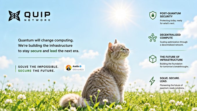 A promotional banner for QUIP NETWORK features a cat sitting in a sunlit meadow of daisies, with the tagline "Quantum will change computing. We're building the infrastructure to stay secure and lead the next era," highlighting their focus on post-quantum security and decentralized compute solutions. The imagery of a curious cat looking toward the bright sun visually represents the post's message about preparing for the approaching quantum era in crypto.