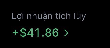 A black screen displays financial text: 'Lợi nhuận tích lũy' in gray with '+ $41.86 >' in green, indicating accumulated profit.