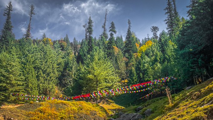 A scenic photograph of a dense green forest under a cloudy blue sky, with colorful prayer flags strung across a grassy, sunlit hillside in the foreground.