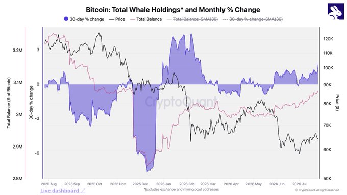 The chart titled "Bitcoin: Total Whale Holdings and Monthly % Change" shows whale accumulation data from August 2025 through July 2026, with total whale holdings ranging from 2.8M to 3.5M+ Bitcoin and price fluctuating between approximately $50K and $120K. The 30-day % change bars show a sharp dip into negative territory (around -9%) in late 2025 before rebounding to positive values above 3% by early 2026, visually supporting the post's claim that whales are accumulating during the current BTC bear market while prices remain below $60K.