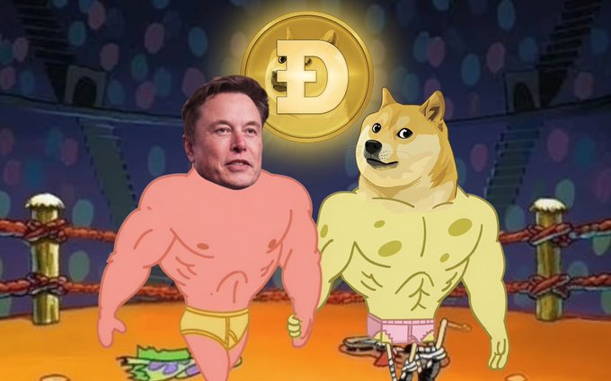 A cartoon illustration showing a muscular figure with Elon Musk's face wrestling a muscular Shiba Inu dog in a boxing ring, with a Dogecoin symbol floating above them.