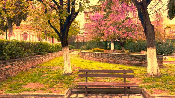 The image features a park with two trees, one of which has pink flowers blooming from its branches. The other tree stands tall behind the first one. A bench can be seen near the center of the scene, providing a place for visitors to sit and enjoy the view. In the background, there is a building visible on the left side of the image. The post also includes an email address that reads "Good Morning Own the calm. Feel the moment."