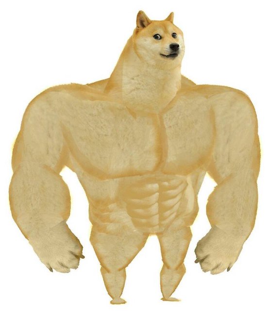 A Shiba Inu doge's head is edited onto an extremely muscular, bodybuilder-style humanoid body with defined abs and large arms, creating the "SwoleDoge" or "Buff Doge" meme. This absurd, imposing figure relates to the post by depicting the legendary "ripped" version of the Doge character that the Dogecoin community celebrates.