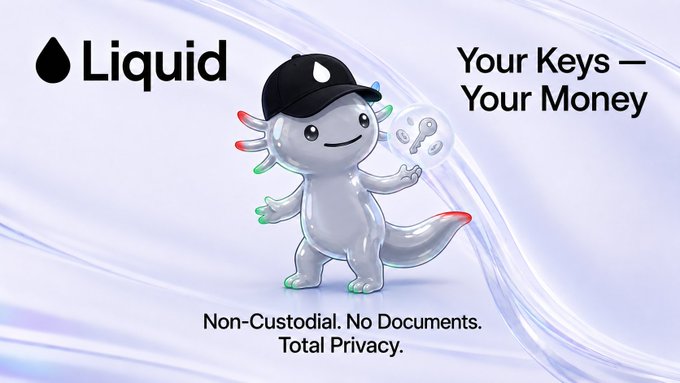 iliadaily logo with a gray and white cartoon fish holding a key, accompanied by the text "Liquid" and "Your keys - Your money".