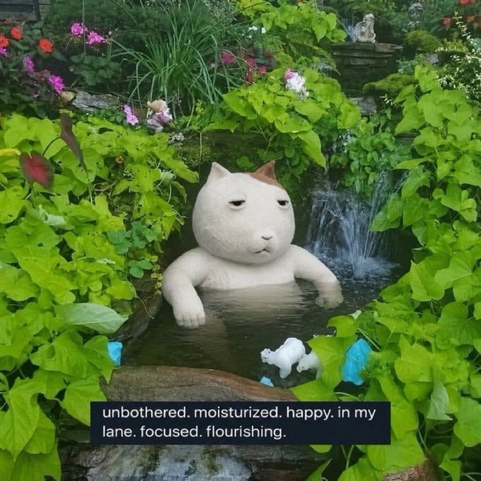 A digitally edited image of the same grumpy white cat character relaxing in a garden pond with a small waterfall, surrounded by green foliage, with the caption 'unbothered. moisturized. happy. in my lane. focused. flourishing.'