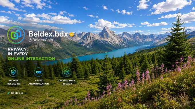 A promotional banner for Beldex.bdx (@BeldexCoin) features a scenic mountain and lake landscape, advertising 'PRIVACY, IN EVERY ONLINE INTERACTION' with icons for 'PRIVATE MESSAGING', 'ASSET ANONYMIZATION', and 'CROSS-CHAIN PRIVACY', and includes the website beldex.io.