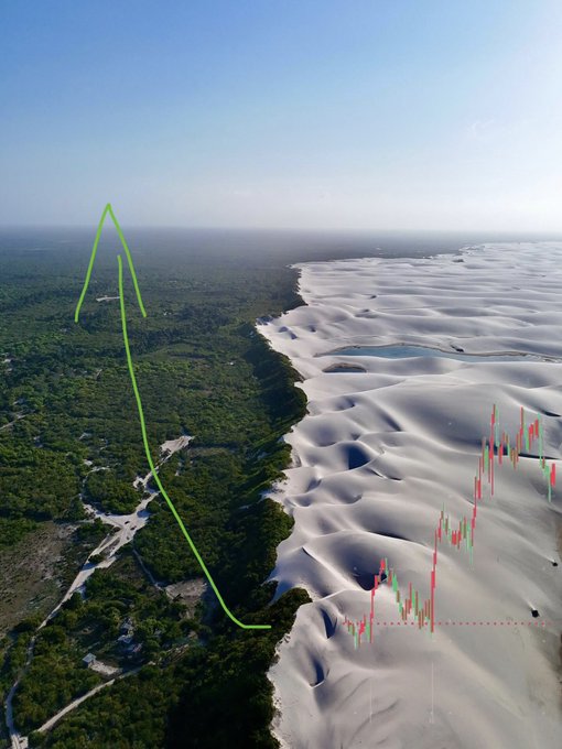 Aerial view of a forested area bordering white sand dunes, overlaid with a green line graph tracking altitude on the left and a red candlestick financial chart on the right.