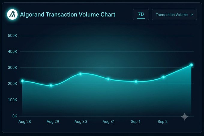 An "Algorand Transaction Volume Chart" displayed over 7D, showing transaction volumes ranging from about 180K to 310K between Aug 28 and Sep 2 on a dark background.