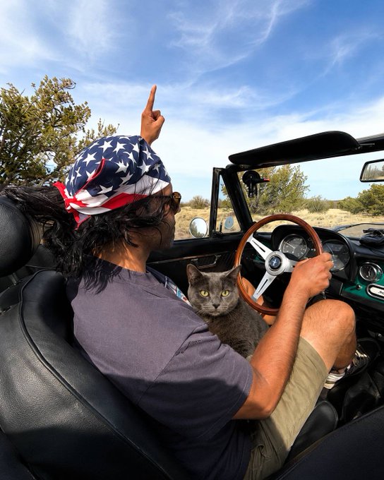 A person wearing an American flag bandana driving a convertible with a gray cat on their lap, pointing up at the sky on a sunny day in a desert-like landscape.