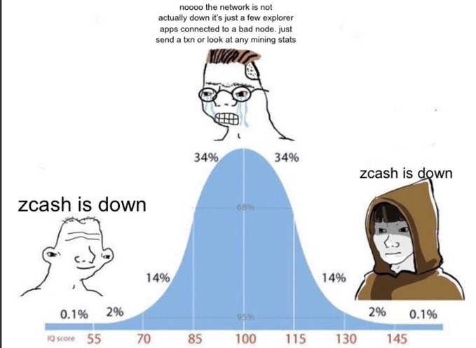 The image features three cartoon-like portraits of people wearing hoodies with the word "Zcash" written on them. The phrase "Zcash is down" is displayed above each person's face, creating a visual representation of the decline of the cryptocurrency. Below the portraits, there are lines and data that explain how long it has been since the launch of the Ethereum blockchain and its corresponding usage.