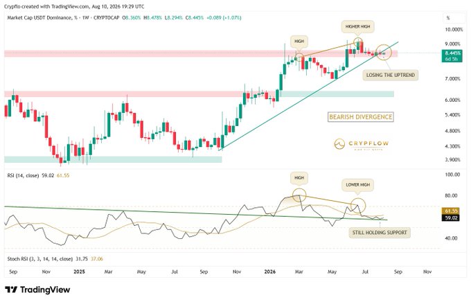 A TradingView candlestick chart showing Market Cap USDT Dominance for CRYPTOCAP with technical analysis annotations including 'HIGHER HIGH', 'BEARISH DIVERGENCE', 'LOSING THE UPTREND', and 'STILL HOLDING SUPPORT', along with RSI and Stoch RSI indicators.