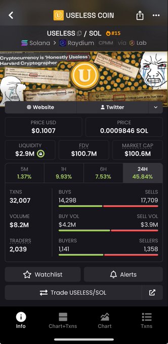 A cryptocurrency tracking app showing details for 'USELESS COIN' (USELESS/SOL) with a price of $0.1007, market cap of $100.6M, and 24-hour change of +45.84%.