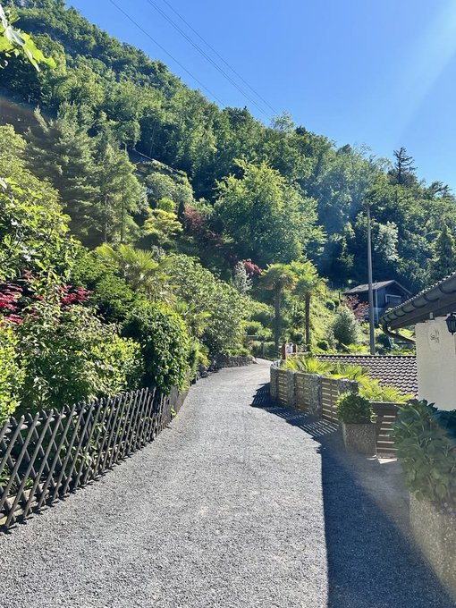 A narrow paved road winds through a lush, sunlit mountainside village lined with a bamboo fence and Japanese-style tile-roof houses.