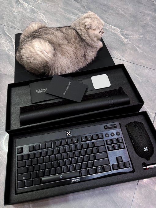 A BlackVeekey unboxing setup featuring a keyboard, mouse, and accessories in black boxes, with a fluffy cat sitting on top.