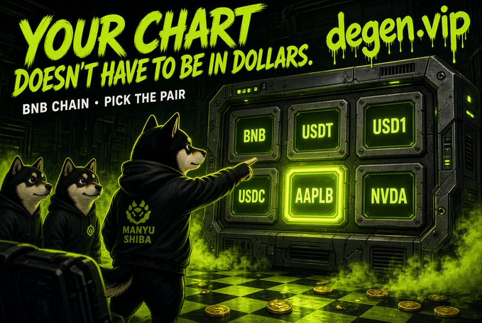 A promotional graphic for 'degen.vip' reads 'YOUR CHART DOESN'T HAVE TO BE IN DOLLARS' on the BNB CHAIN, featuring Shiba Inu characters and selectable crypto pairs including BNB, USDT, USD1, USDC, AAPLB, and NVDA.