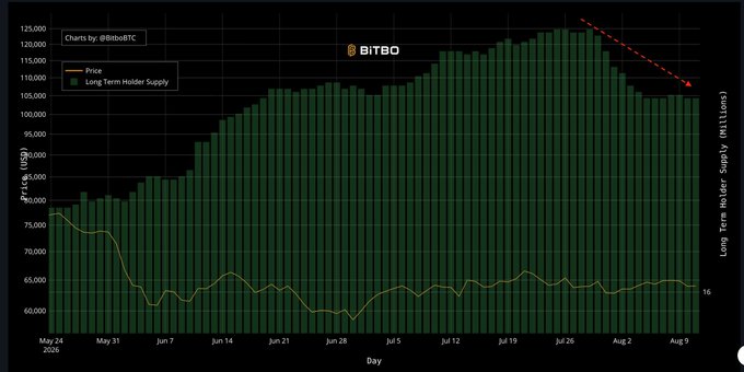 A Bitcoin price chart from Bitbo by @BthoBTC showing price in USD and Long Term Holder Supply from May 24 to August, with a red dashed arrow indicating a downward trend.