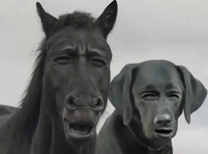 Surreal photo manipulation showing a black horse and a Weimaraner dog both with realistic, expressive human-like faces against a cloudy sky.