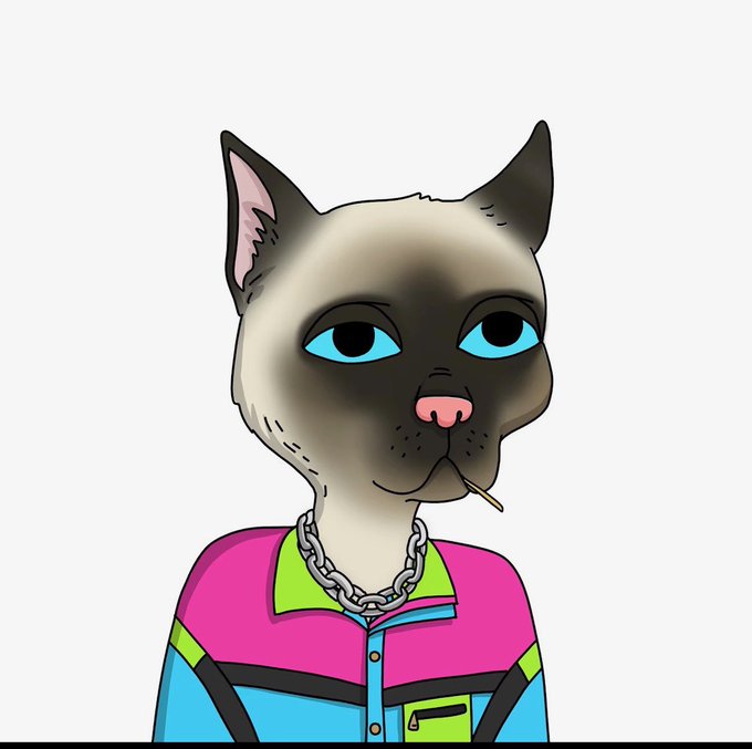 A cartoon-style illustration of a Siamese cat with bright blue eyes, a toothpick in its mouth, a silver chain necklace, and a vibrant pink, green, and blue color-blocked jacket — a character from the popular Gutter Cat Gang NFT collection, celebrating the user's new addition to the community.