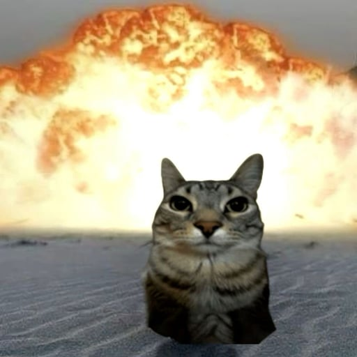 The image features a cat sitting on top of a sandy beach, facing towards the camera with its eyes open as if looking at the viewer. In the background, there's an explosion or firework display happening behind the cat, creating a dramatic scene that contrasts with the peaceful and serene setting of the beach. The caption "gm camel" is likely related to the image, possibly indicating a reference to the cat being part of a desert-like environment where camels are typically found.