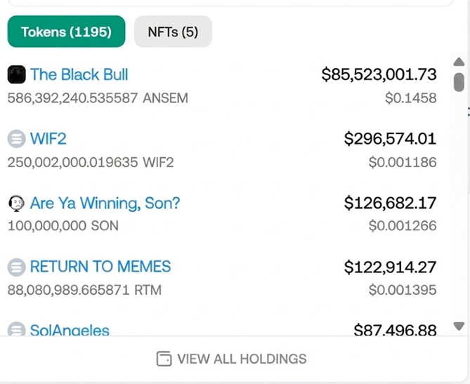 A cryptocurrency portfolio app screen showing 1195 Tokens and 5 NFTs, listing holdings including The Black Bull ($85,523,001.73 ANSEM), WIF2 ($296,574.01), Are Ya Winning, Son? ($126,682.17 SON), RETURN TO MEMES, and SolAngeles, with a 'VIEW ALL HOLDINGS' button.