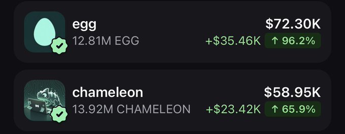 The image displays a crypto portfolio tracker showing two tokens: "egg" with 12.81M EGG holdings valued at $72.30K (+$35.46K, up 96.2%), and "chameleon" with 13.92M CHAMELEON valued at $58.95K (+$23.42K, up 65.9%), both marked with verified checkmarks. This aligns with the post highlighting a +$48k PNL gain on HyperEVM day 4, with $EGG being the standout performer pending further price separation.