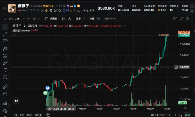 A TradingView candlestick chart for the GMGN token (Stupid Kid) on Binance shows a dramatic surge in price, rising from around $0.2933 to a historic high of $0.5838 with a 368.4K USD 24-hour trading volume. The chart illustrates the "missed opportunity" referenced in the post, as the wallet 0x4062083510f67d28844df9371244e6f191b97777 laments missing the sharp breakout despite GMGN's massive price movement.