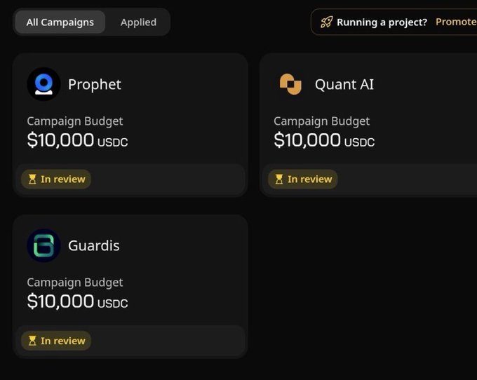 The image shows a list of four campaign budgets, with three of them being applied to projects and one remaining unapplied. The first budget is $10,000 USDC, the second is $10,000 USDC, and the third is $10,000 USDC. The fourth budget is $10,000 USDC. The post suggests that you should focus on these four campaigns before applying any additional budgets to ensure they are completed in a timely manner.