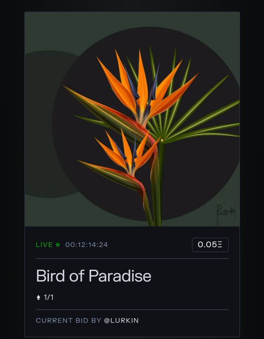 A digital display showing an orange and green 'Bird of Paradise' flower illustration, labeled as 'LIVE', with a timer '00:12:14:24', a price of '0.05Ξ', and 'CURRENT BID BY @LURKIN'.