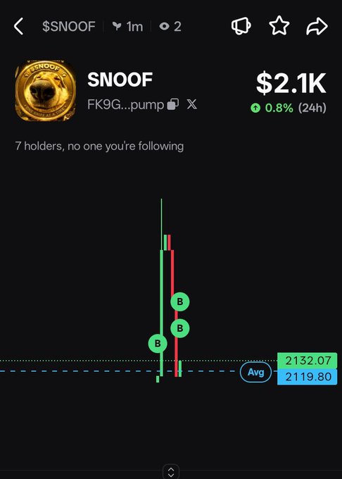 A cryptocurrency token page for '$NOOF' showing a market cap of $2.1K with 0.8% gain over 24h and 7 holders.