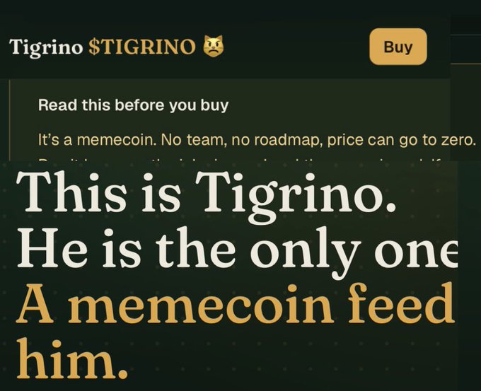 A graphic for the cryptocurrency Tigrino ($TIGRINO) featuring text that reads "This is Tigrino. He is the only one A memecoin feed him," alongside a warning that "It's a memecoin. No team, no roadmap, price can go to zero."