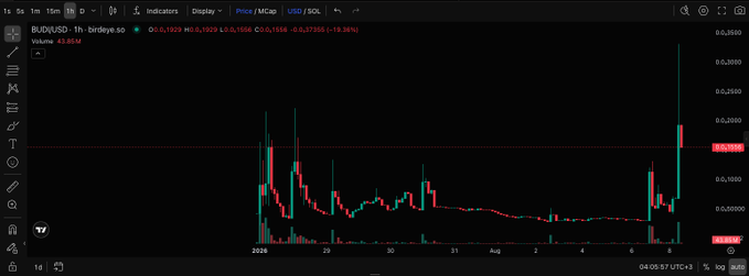 TradingView chart for 'BkUBUSD - b - birdseye.SO' on the 1h timeframe showing a candlestick pattern with a recent sharp price spike, with price levels around 0.001950 and 0.001000 visible.