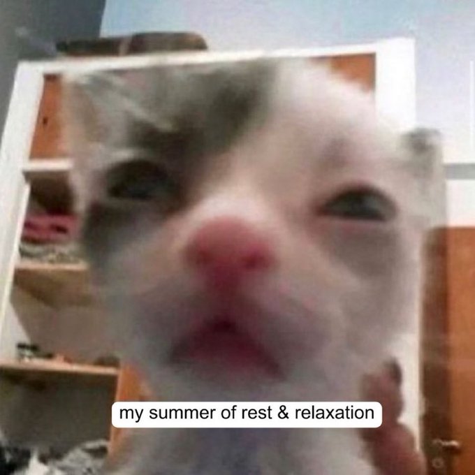 A blurry close-up of a white and gray cat with a surprised, zoned-out expression fills the frame, with a caption at the bottom reading "my summer of rest & relaxation." The image humorously embodies the relaxed, distracted vibe referenced in the post about $cashcat ("unicat") killer the chill cat meme shared by Uniswap, with the cat's blissfully unfocused stare mirroring the easygoing summer mood.